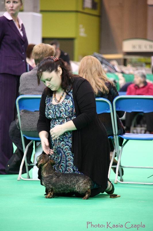 Crufts2011_2 966.jpg